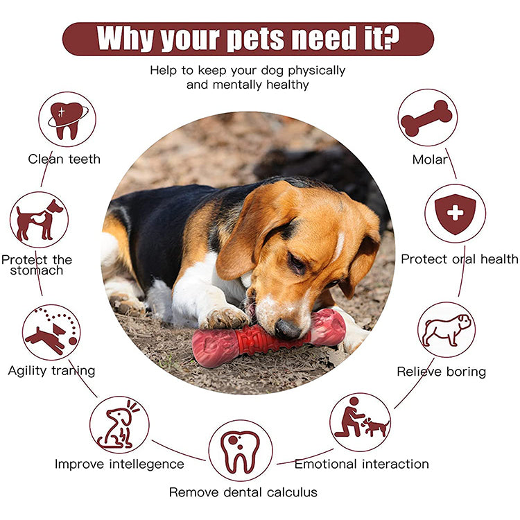 Indestructible Nylon and Rubber Dog Chew Bones Toys