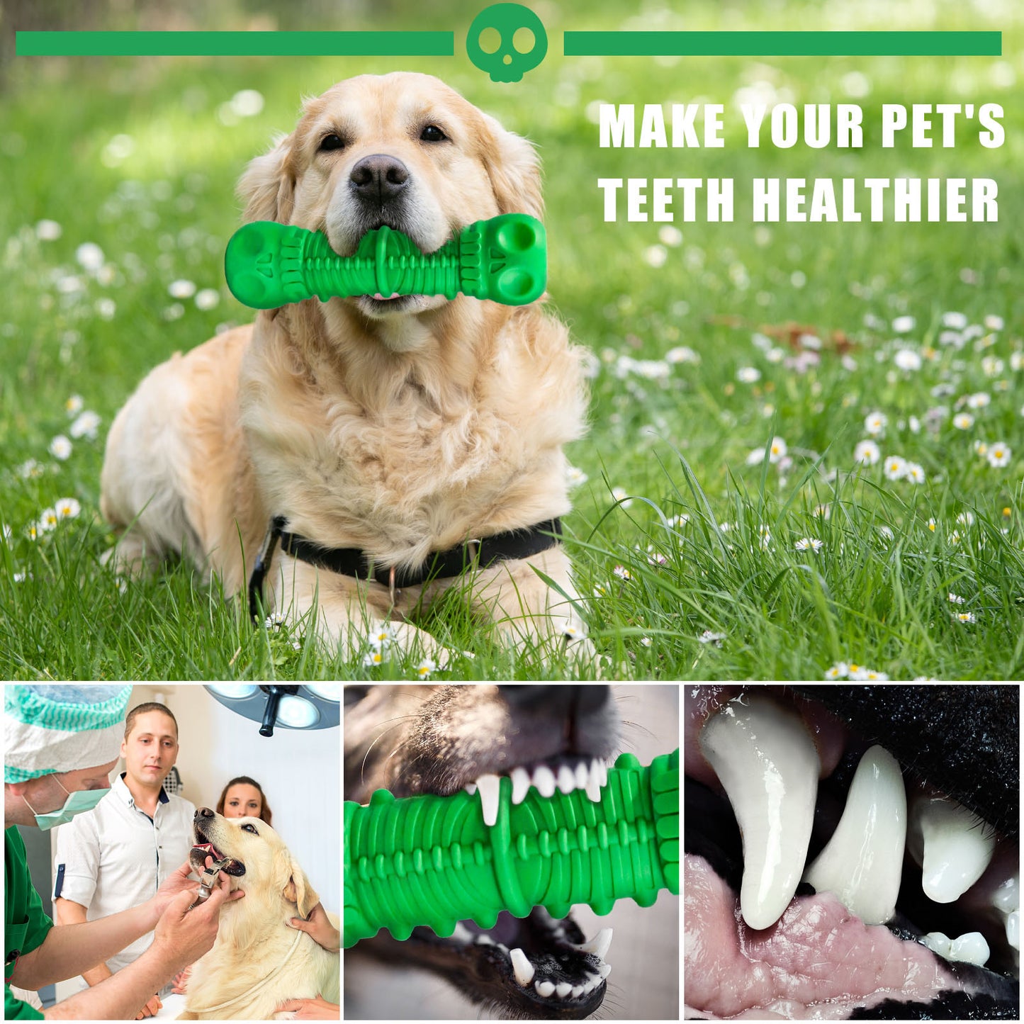 Dog Toothbrush Durable Milk Flavor Skull Dental Care Toys