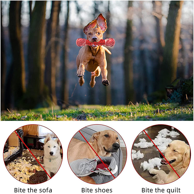 Indestructible Nylon and Rubber Dog Chew Bones Toys
