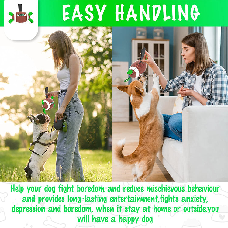 Interactive Rugby Ball Toy for Outdoor Dog Toy with Grab Tabs
