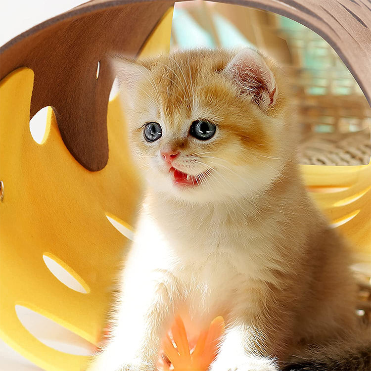 DIY Pet Tunnel Toy - Collapsible Tube Toys Cat Cave