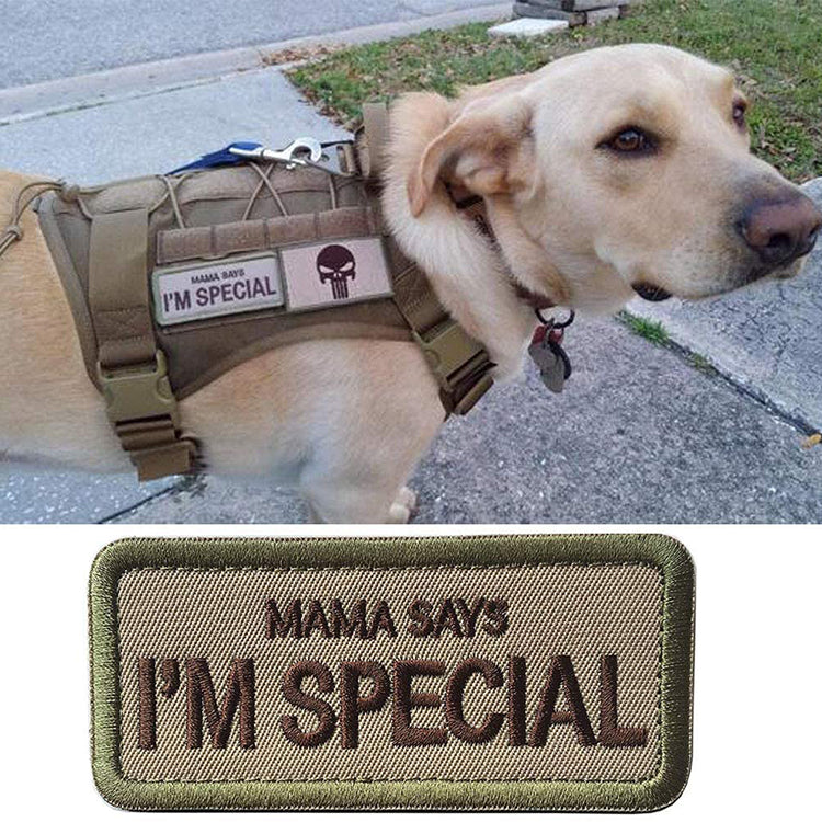 Mama Says I'm Special Patch Tactical Military Patches Funny Embroidered Fastener Hook and Loop Patches