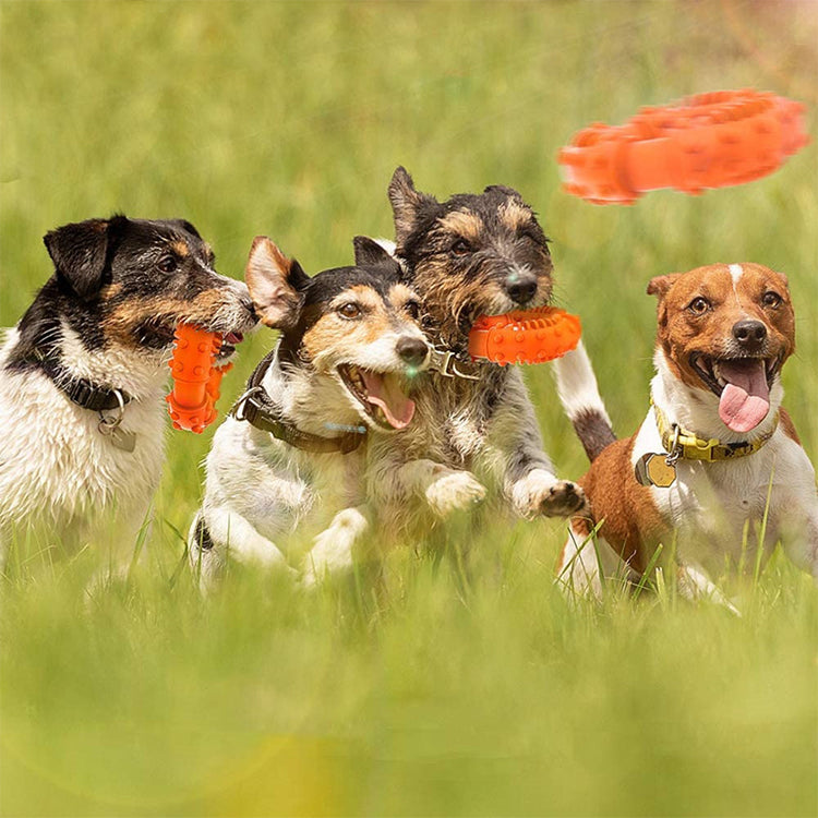Natural Rubber Puppy Teether Ring Toys for Small/Medium Puppies