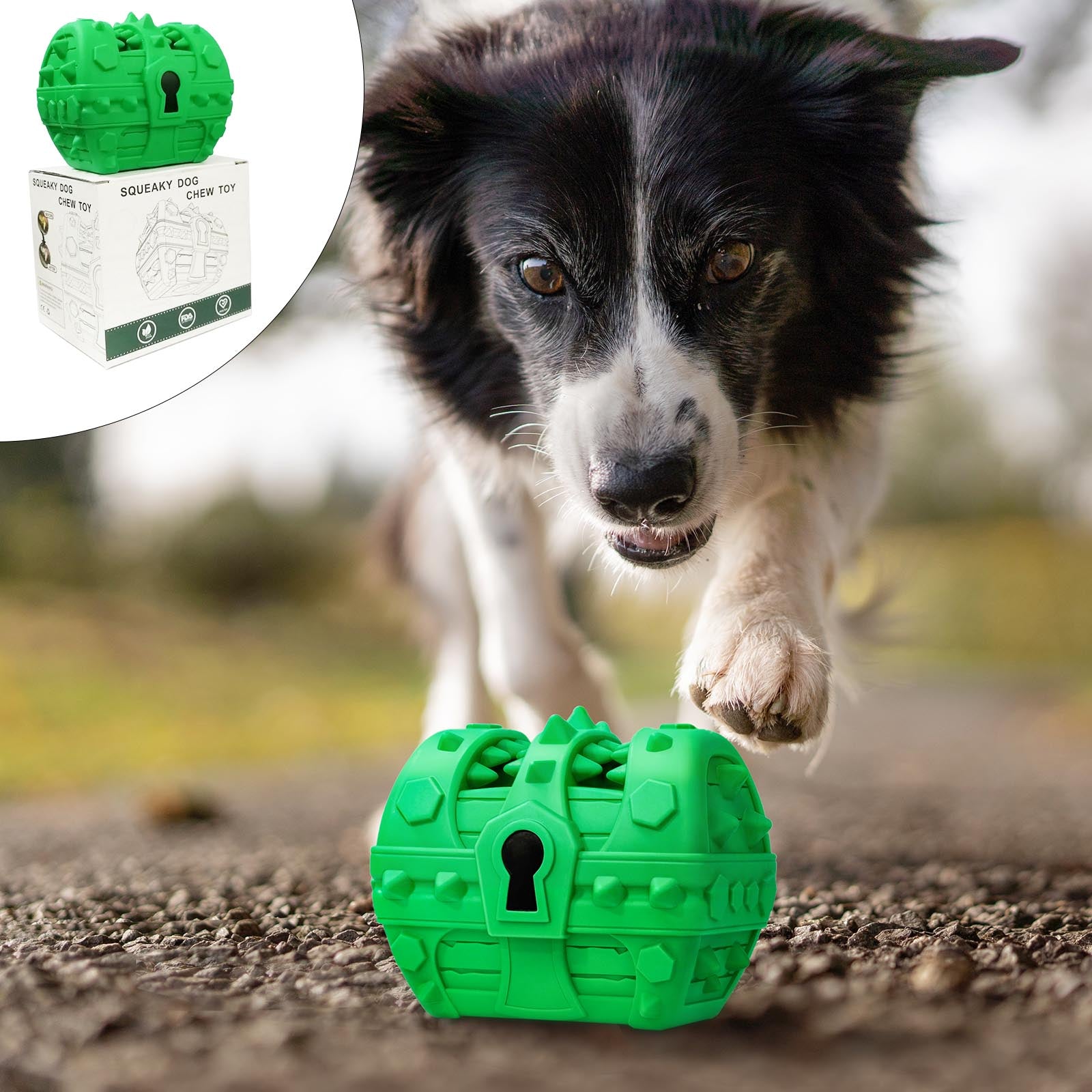 Pet Dog Toothbrush Chew Toys, Upgraded Treasure Chest Sounding Toy