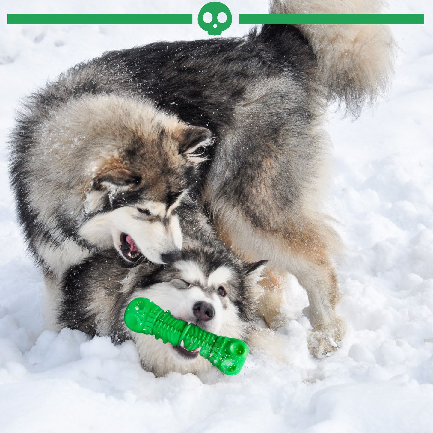 Dog Toothbrush Durable Milk Flavor Skull Dental Care Toys