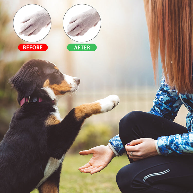 Upgraded Pet Nail Grinder with LED Light Rechargeable